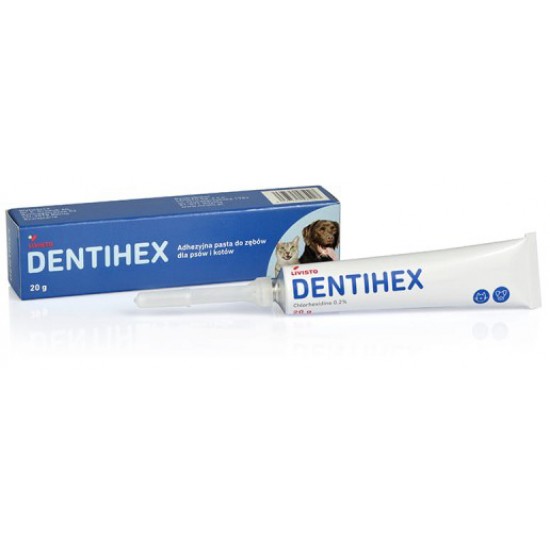 Οδοντική Πάστα Dentihex 20gr